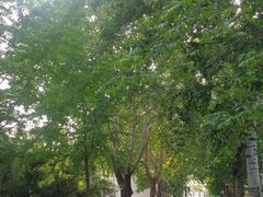 -山东师范大学(千佛山校区)
