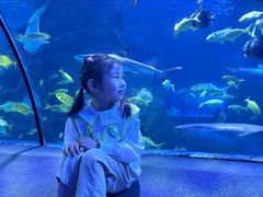 -太平洋海底世界