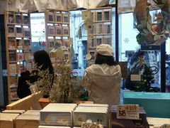 -猫的天空之城概念书店(杭州南宋御街店)