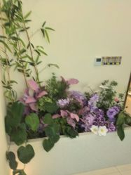 -头道汤头疗养生馆