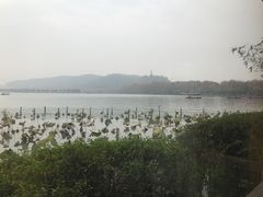 -湖畔居茶楼(湖滨店)