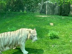 -北京野生动物园