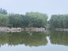 -大兴滨河森林公园