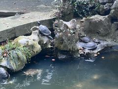 -普陀山风景名胜区-法雨禅寺