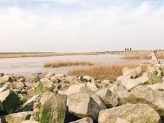 -南汇嘴观海公园