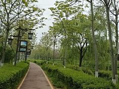 -西安汉城湖景区