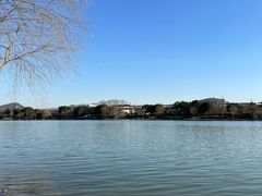 -羊山湖公园