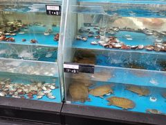 水产区-旺顺阁鱼头泡饼(小红门店)