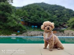 -北京山里寒舍度假酒店