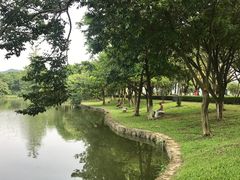 -孔雀园餐厅