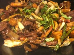 -食乐佳麻辣香锅(森林摩尔商业街区店)