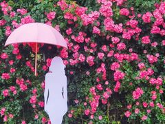 -上海辰山植物园