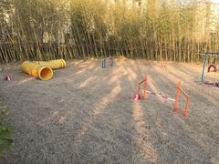 -上海崇明金茂凯悦酒店