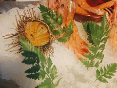 -Mr.Fish鱼鲜生海鲜放题(高德置地冬广场店)