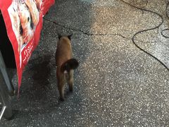 -芒果糯米饭摊子