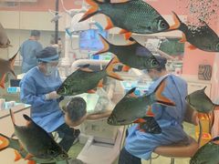 -牙博士口腔品牌连锁(杨浦店)