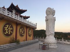 -五龙城郊森林公园