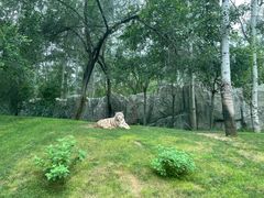 -北京野生动物园