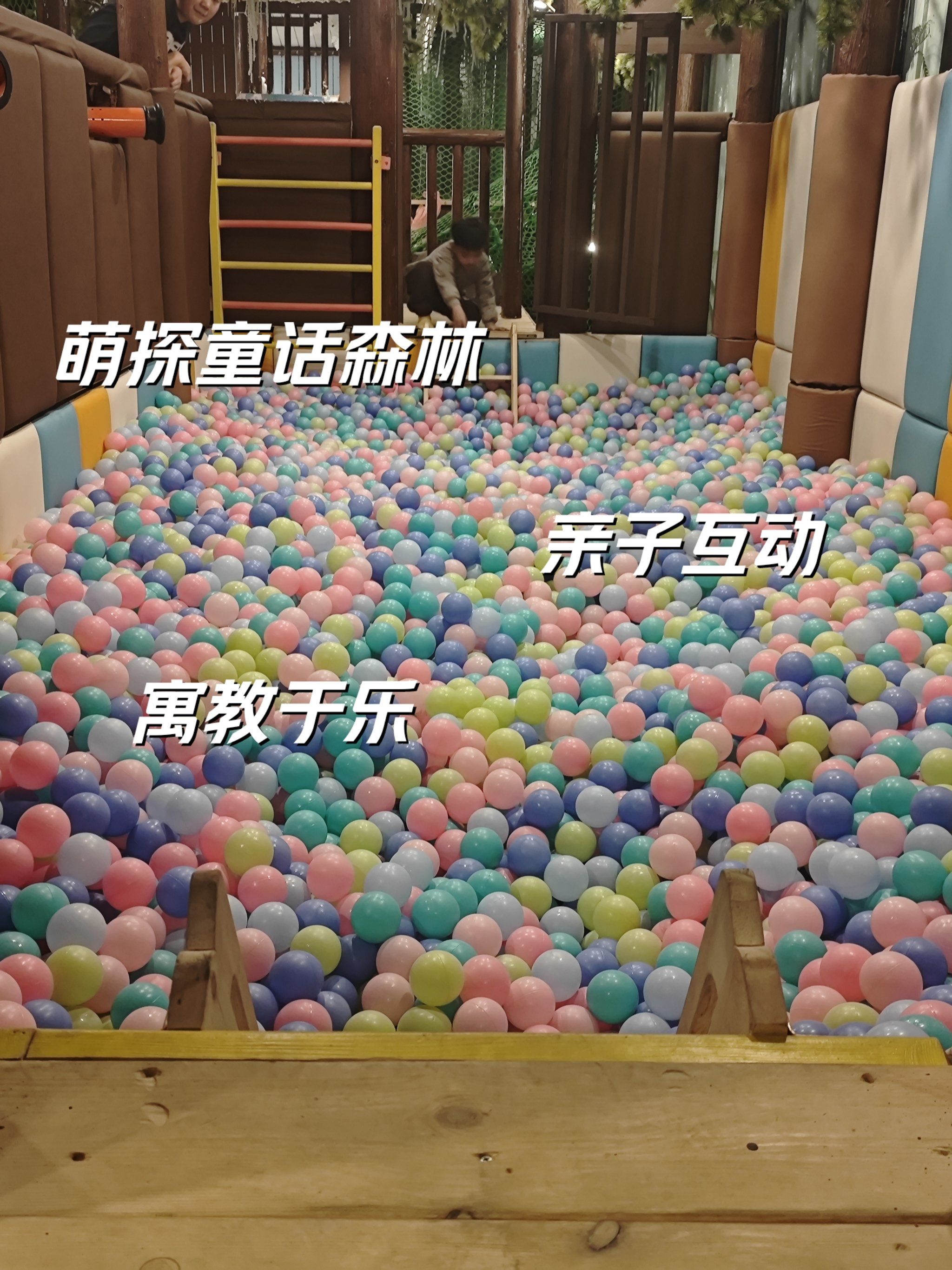 在儿童乐园的缤纷世界里,海洋球池宛如一片