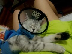 android_upload_pic-美联众合动物医院·24h京西诊疗中心