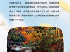-光雾山旅游景区