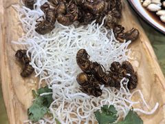 -山东单县风味羊肉汤馆(望园路店)