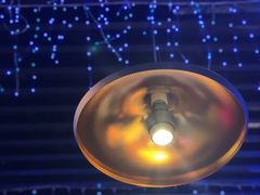 -千岛蚝高压锅生蚝·人参火锅(白云万达店)