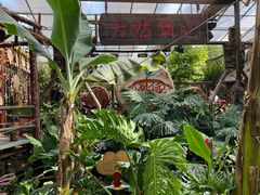 -呀路古热带植物园-恐龙馆