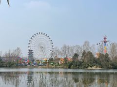 -洋湖国家湿地公园