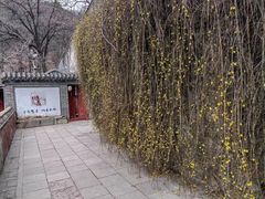 -潭柘寺景区
