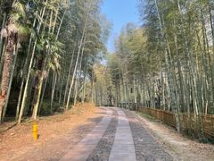 -黄公望隐居地