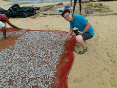 -尼甘布海鲜市场