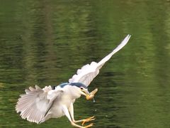-重庆彩云湖湿地公园