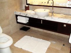 肥肥安——龙之梦万丽-上海龙之梦万丽酒店