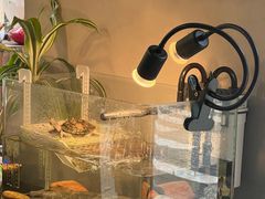 -时光花园(白鹭洲店)