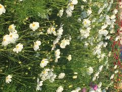 长春世界雕塑公园-长春世界雕塑园冰雪艺术天地