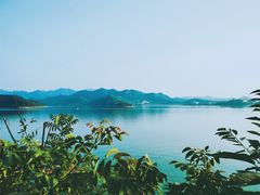 -望湖烤鱼