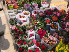 -中环花鸟鱼虫市场