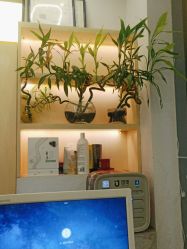 -菲·木田moontin造型salon