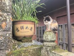 -谢老五跷脚牛肉·非遗传承店