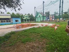 -秦皇岛野生动物园