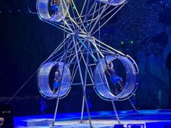 -灵玲国际马戏城