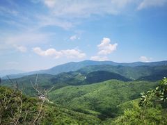 -北京西山国家森林公园