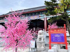 -厦门方特梦幻王国