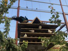 -洛阳马蹄泉旅游度假村