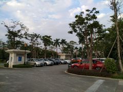 -罗约海滨温泉酒店-索莎西餐厅
