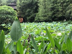 -广州珠江公园