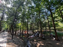 -白水寺森林公园