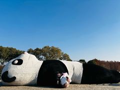 -苏州太湖国家湿地公园