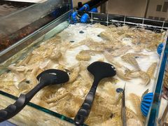 -川骄海鲜自助(亚运村店)